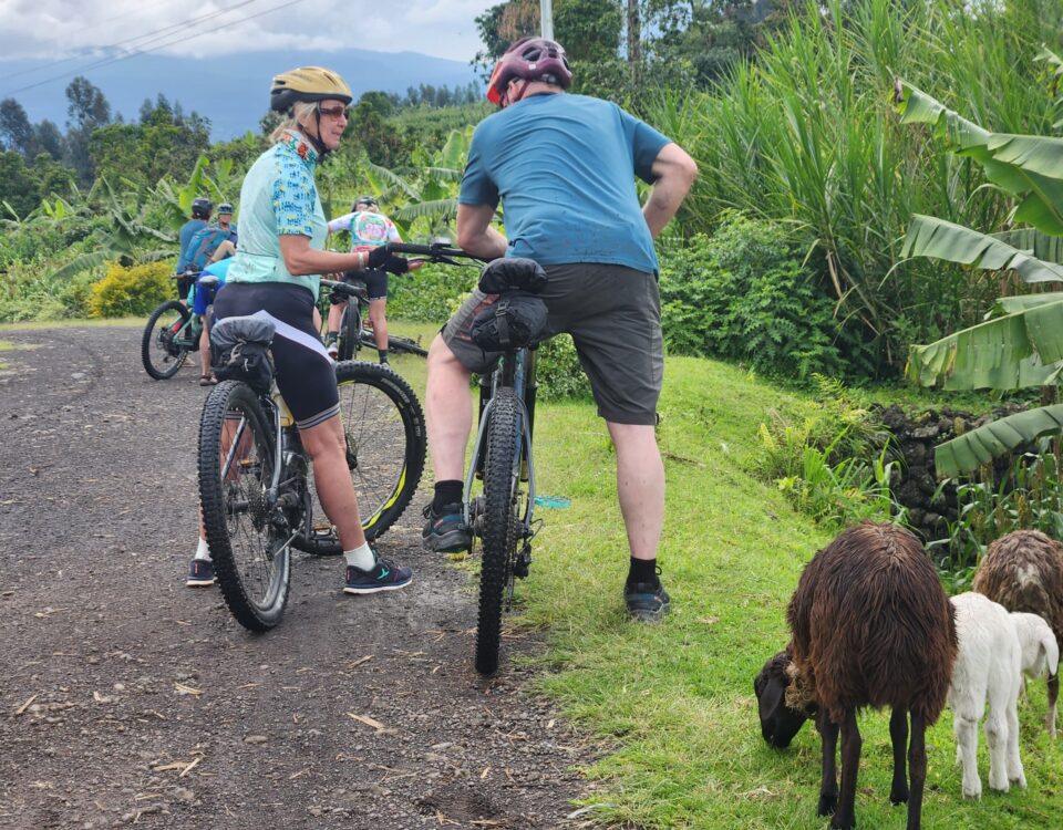 4 Days Lake Mburo Cycling Safari