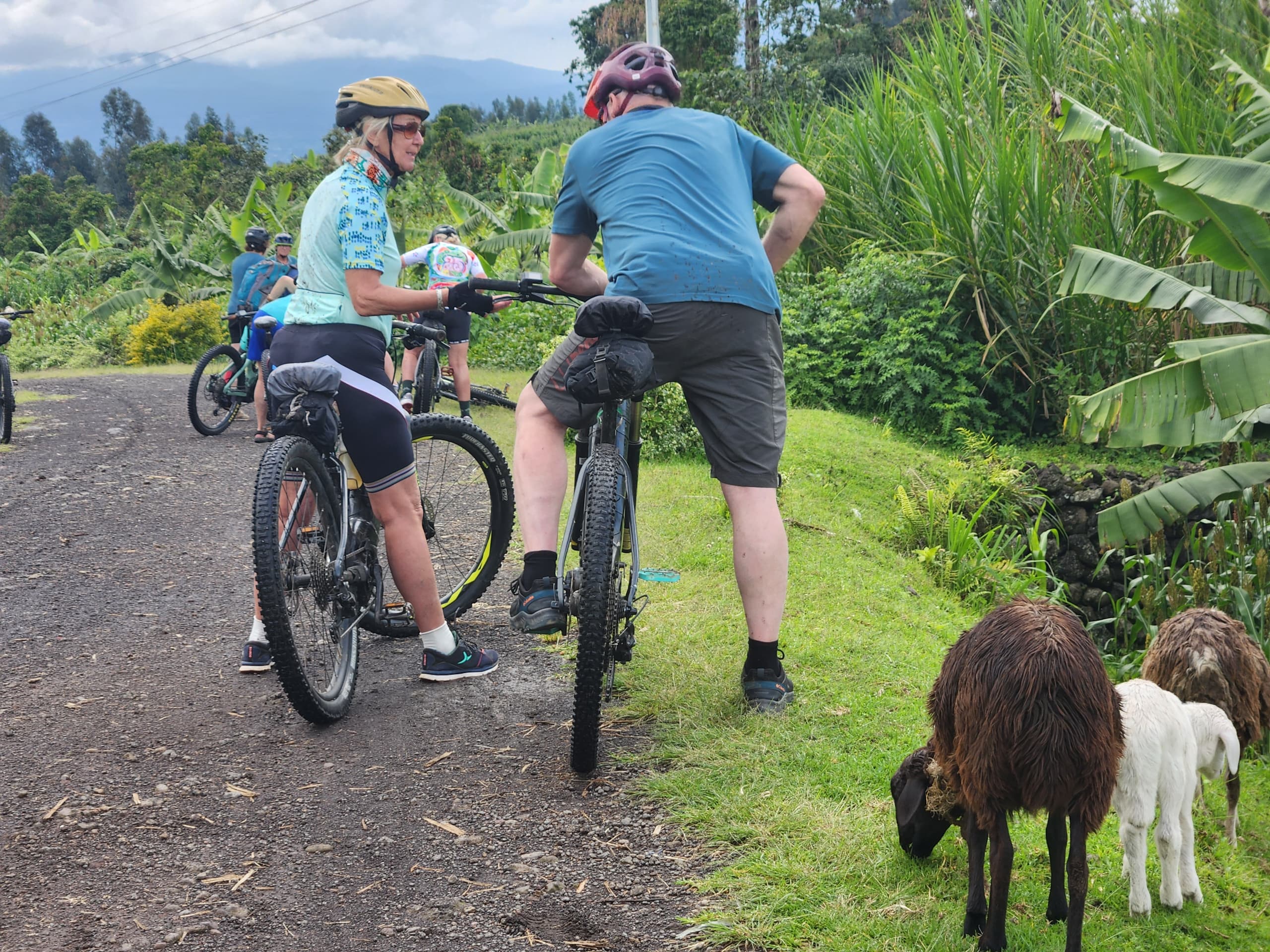 4 Days Lake Mburo Cycling Safari